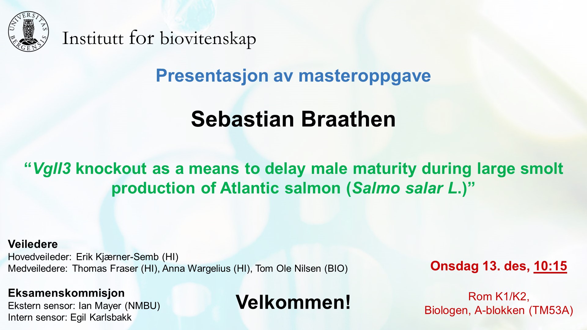 Presentasjon Av Masteroppgave, Sebastian Braathen | Institutt For ...