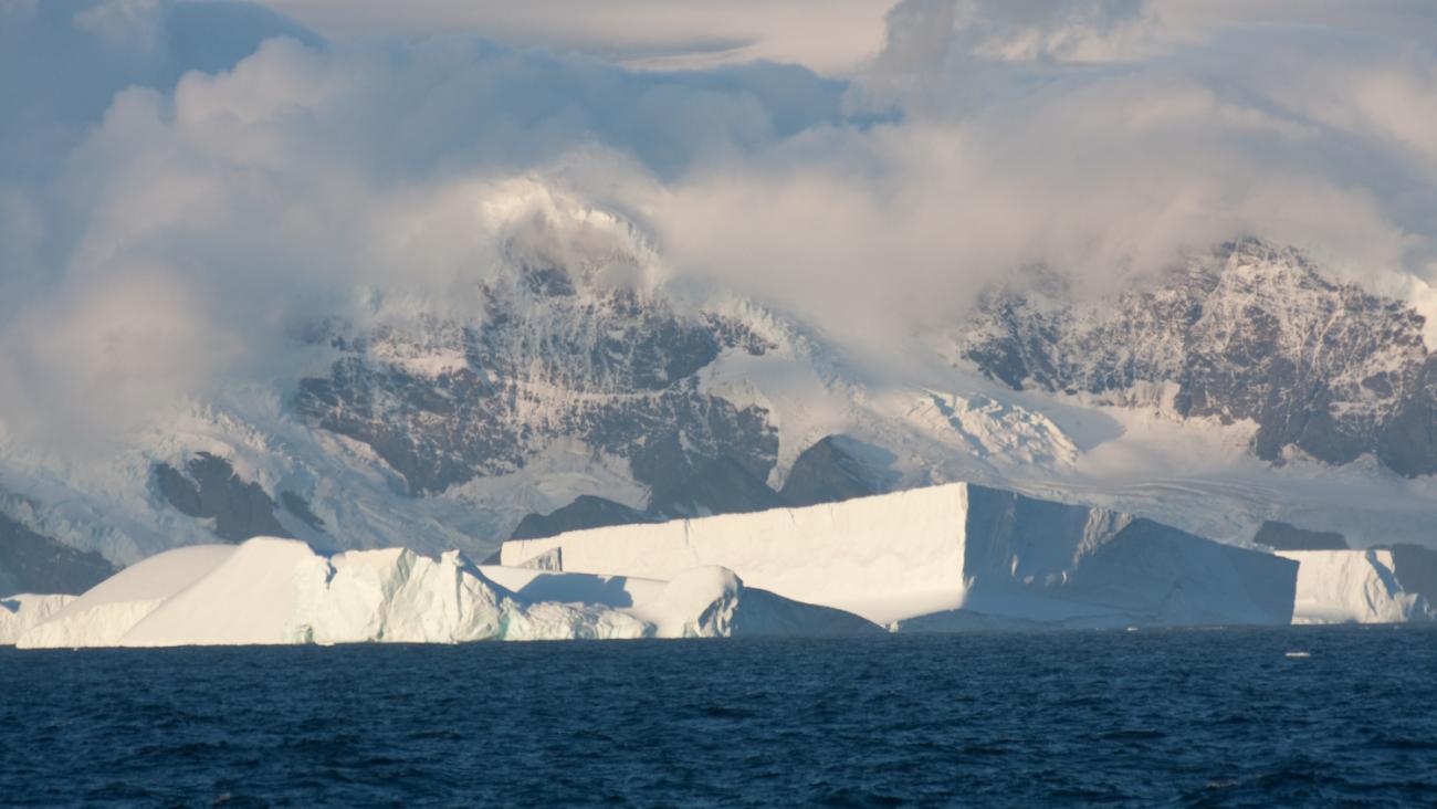 The antarctic is the very south part