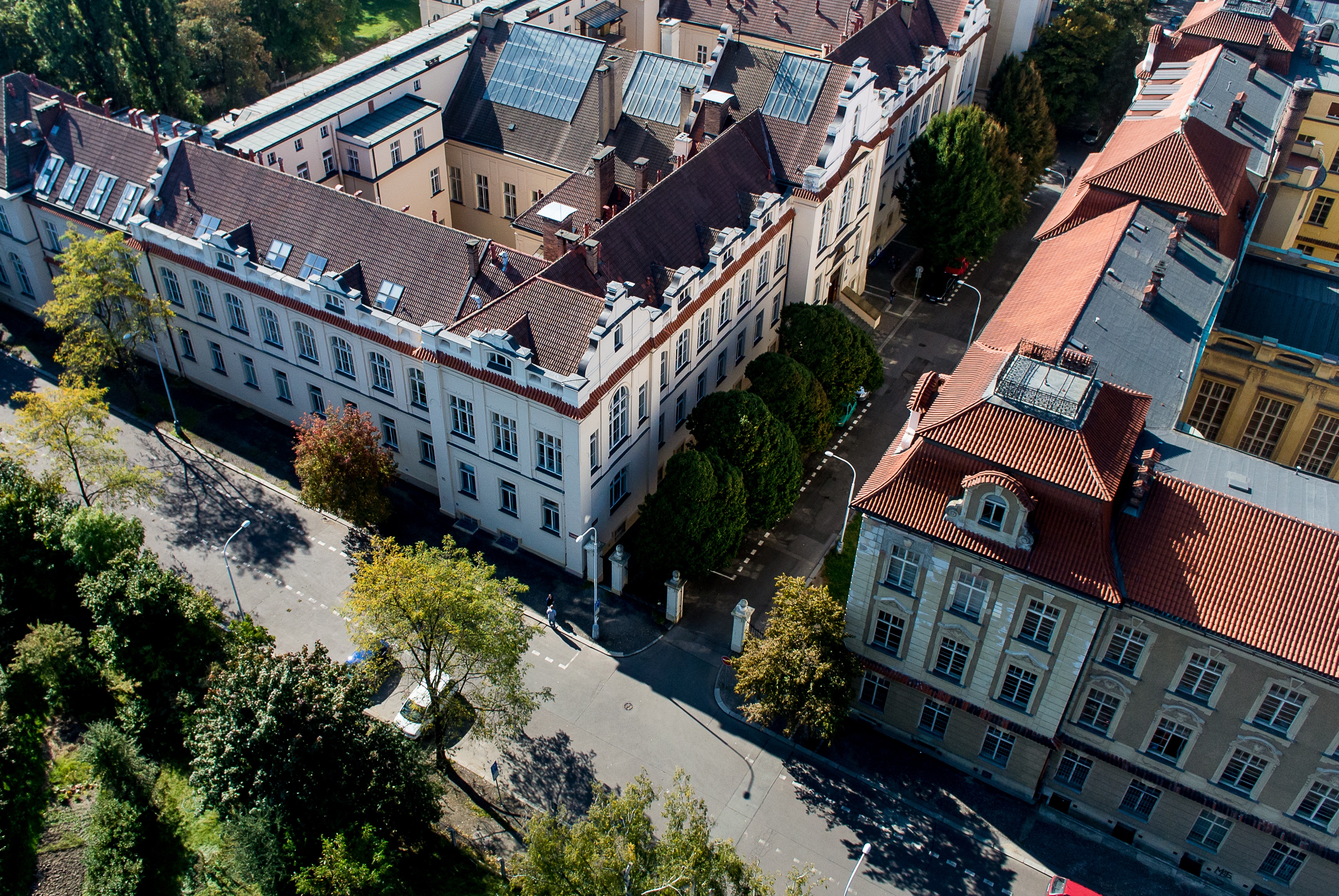 Charles University, Prague and Department of Biological Sciences