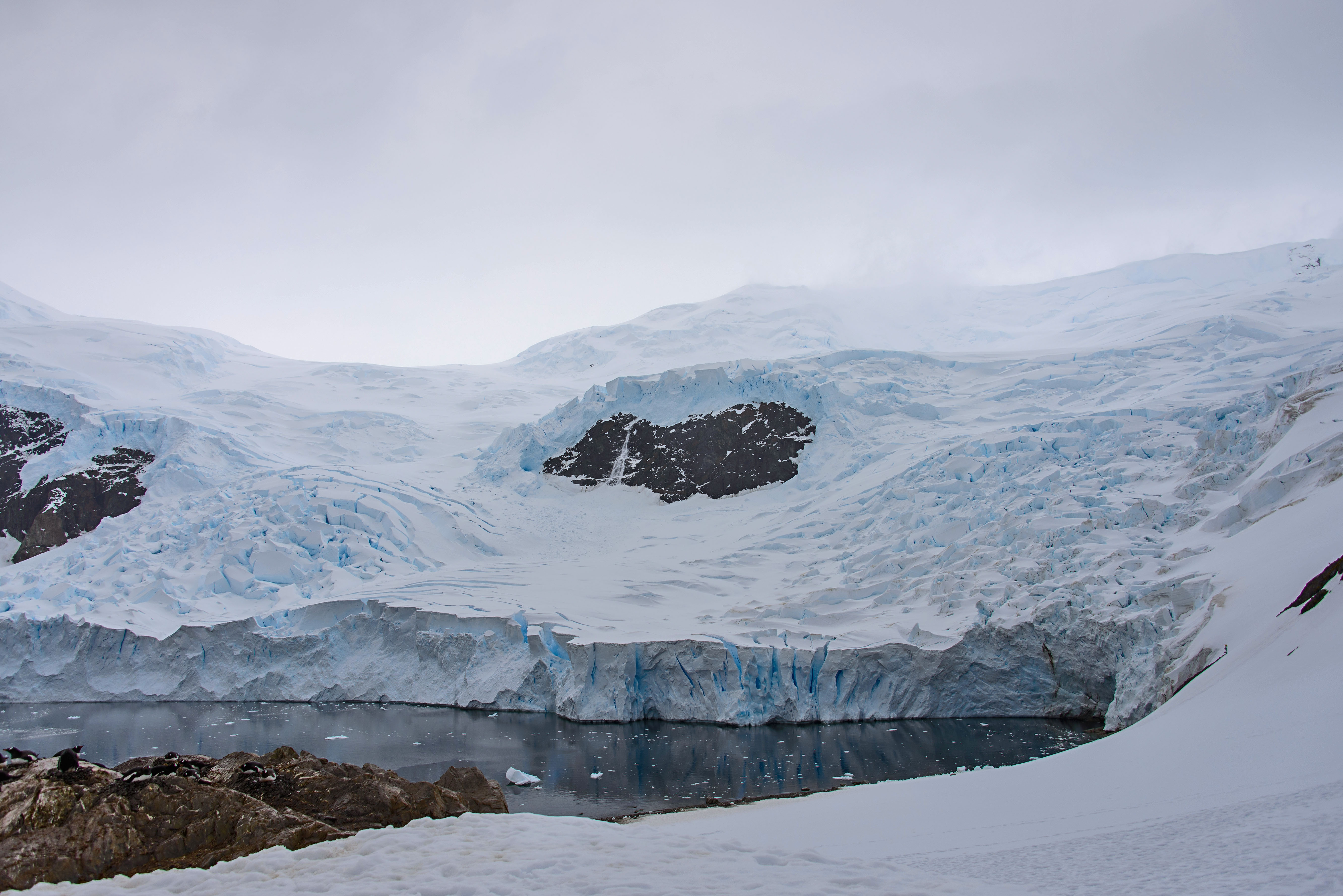 Antarctic winters trigger psychological hibernation | Society and ...