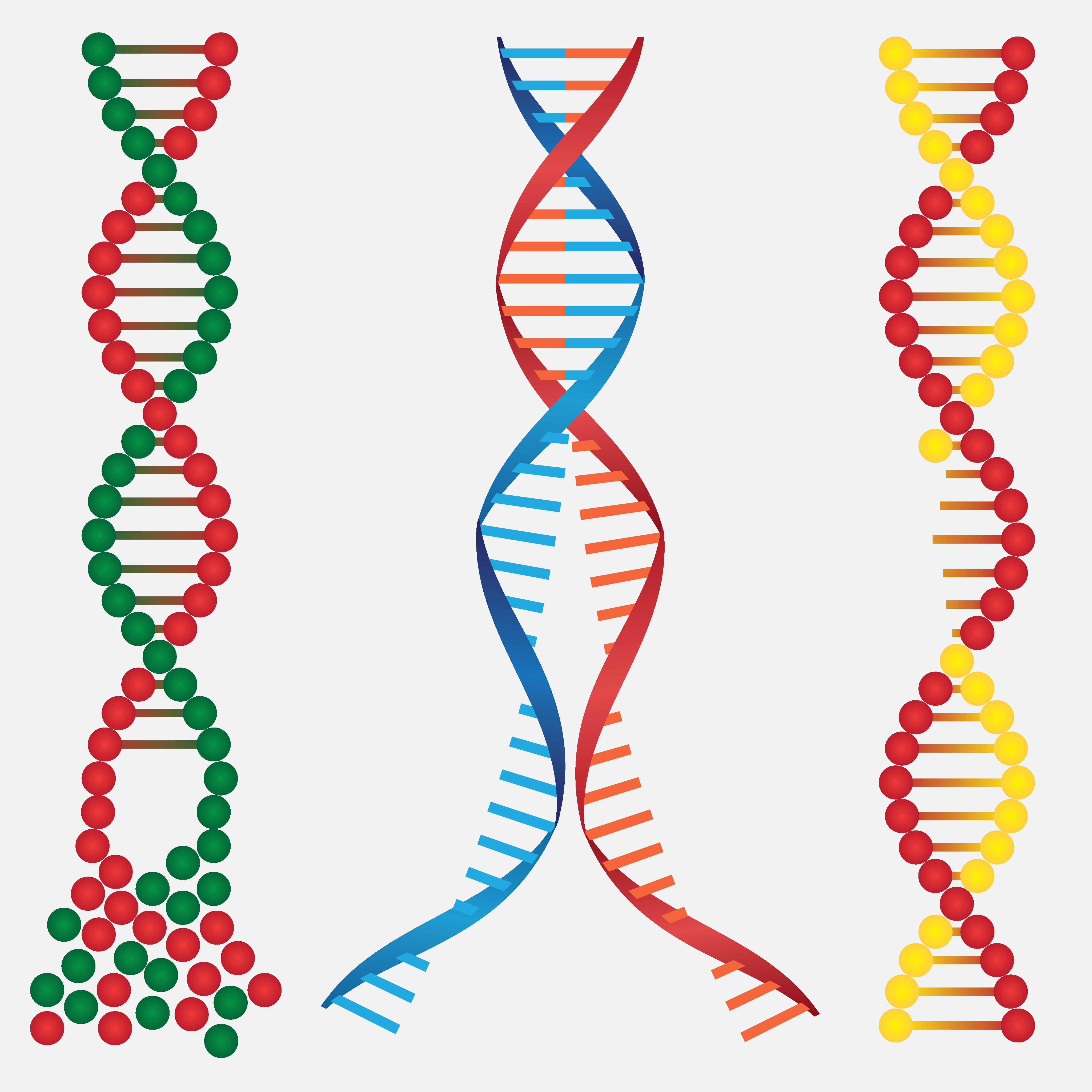 Genetically modified microorganisms (GMOs) | The HSE-gateway