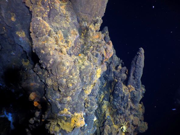 New Hydrothermal Field Discovered in East Pacific Ocean  Institutt for 