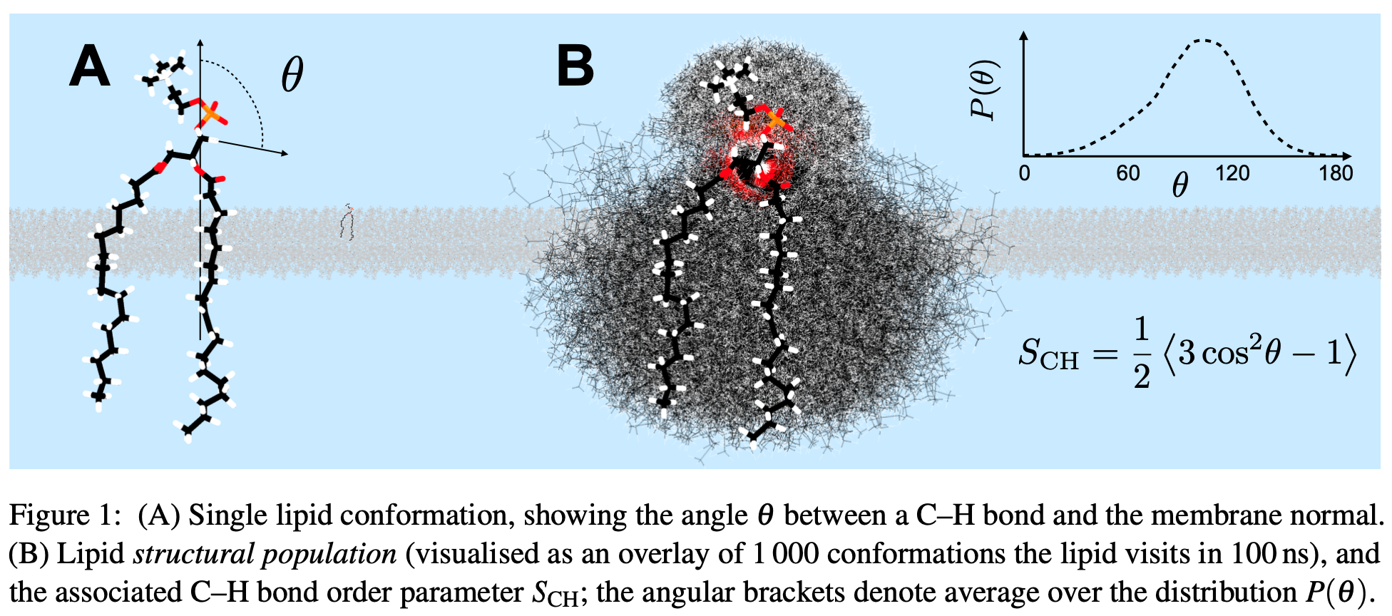 High-fidelity Biomolecular Modelling | Center For Data Science | UiB