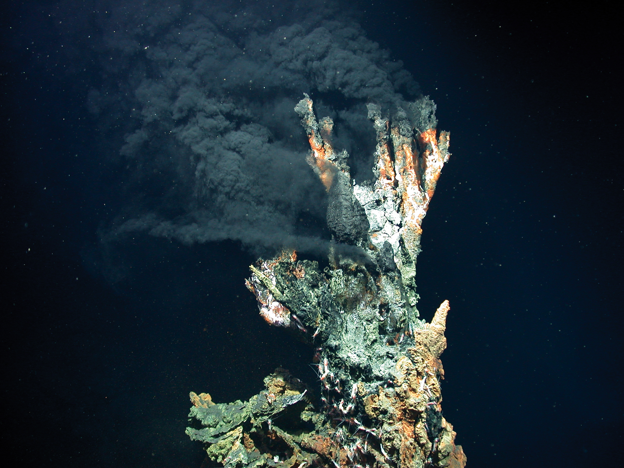 how-does-life-thrive-when-the-deep-sea-is-dark-marine-uib