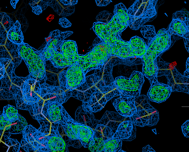 Structural biology | Biophysics, Structural Biology and Screening (BiSS