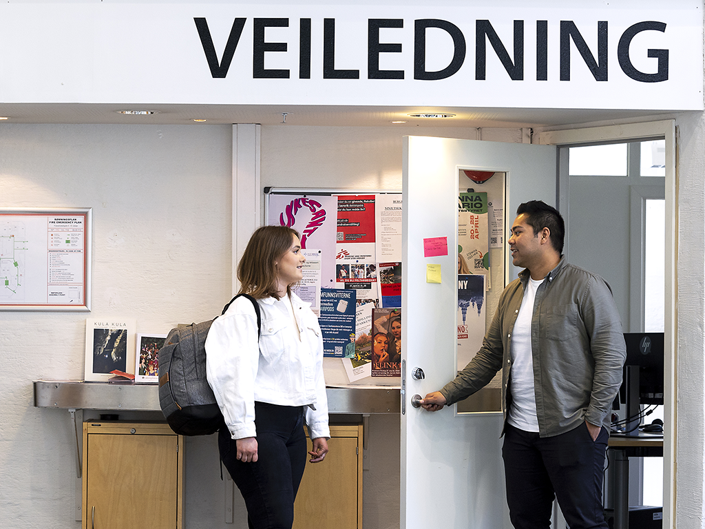 Studieveiledning Ved Det Samfunnsvitenskapelige Fakultet | Det ...