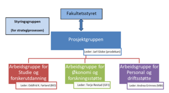 Prosjektorganisering