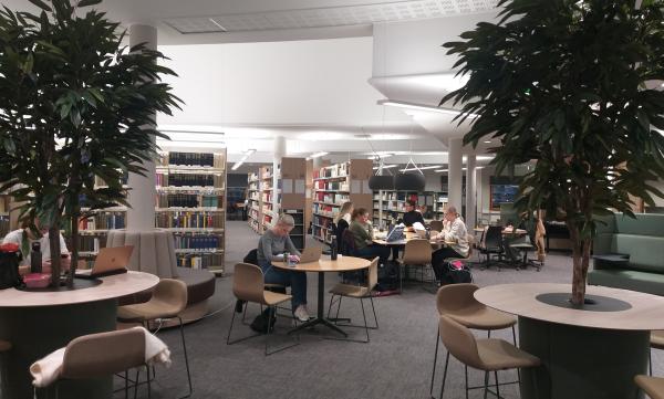 Studenter studerer på Bibliotek for juridiske fag