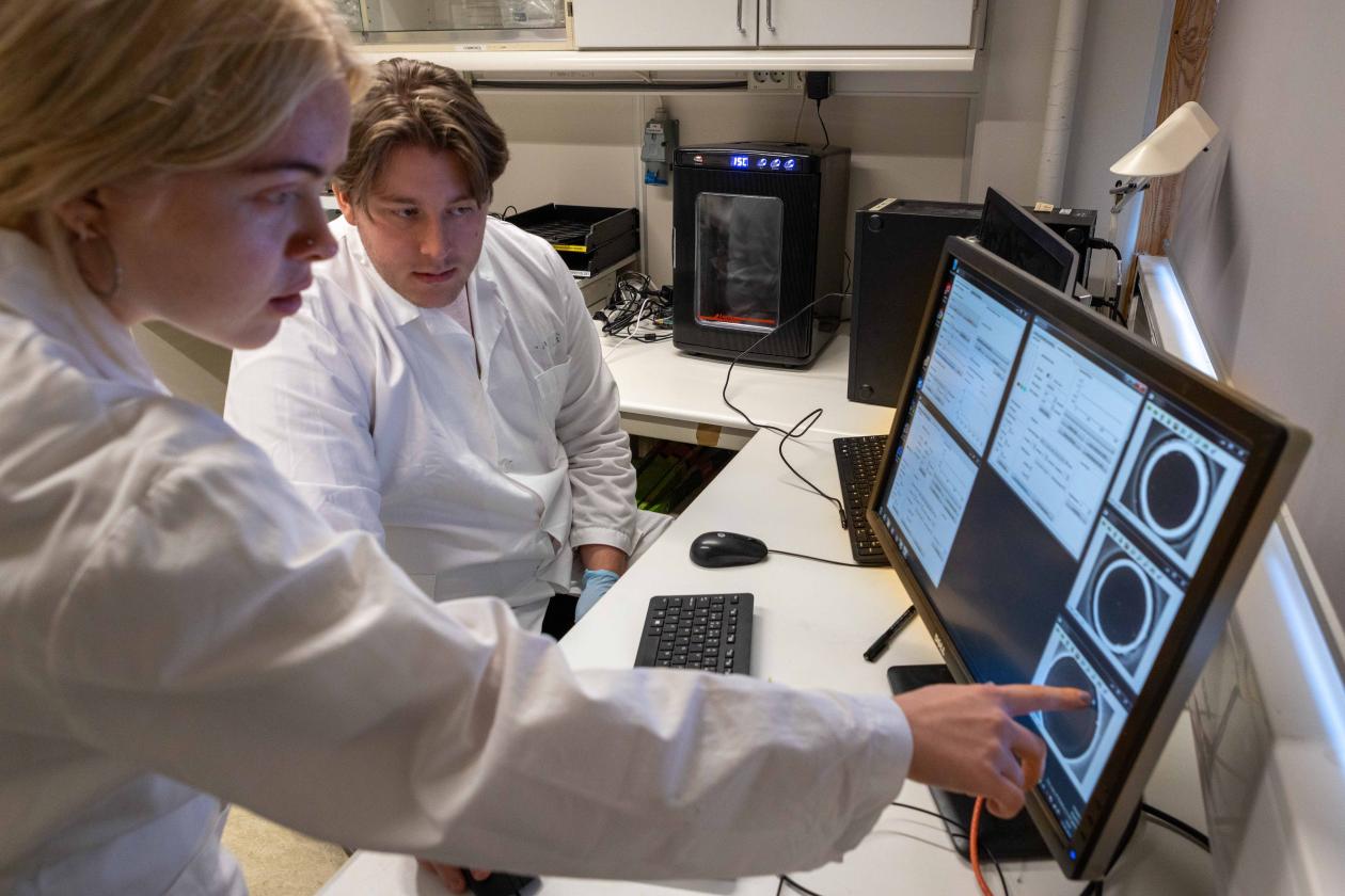 Students in the laboratory