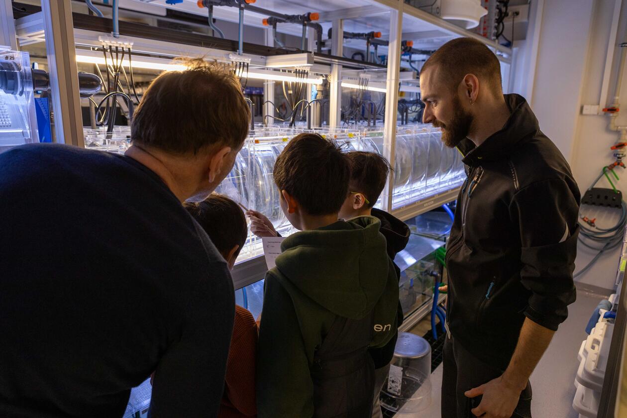 A group of children observe comb jellies in aquariums