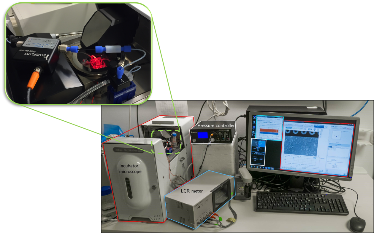 Microfluidic platform for label-free, real-time electrical impedance analysis and live-cell imaging of cells exposed to nanomaterials. 