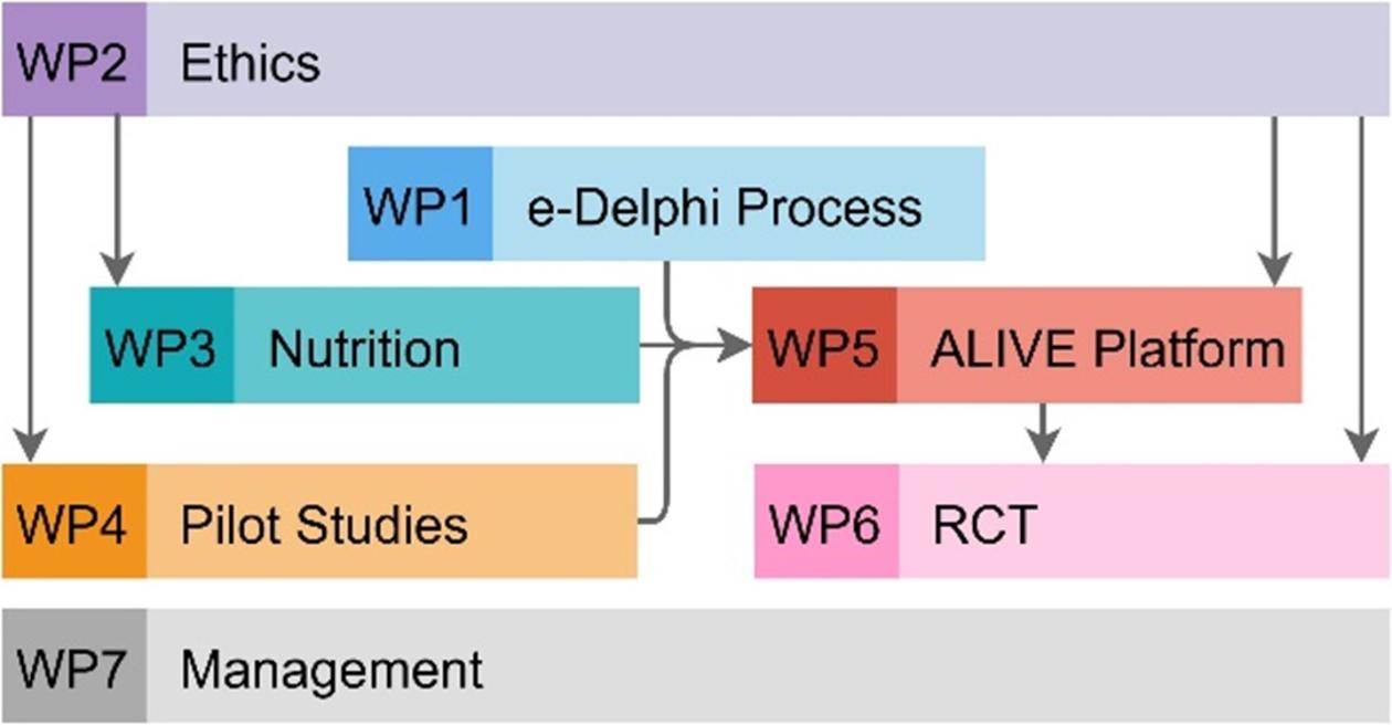 Graphics illustration of the workpackages.