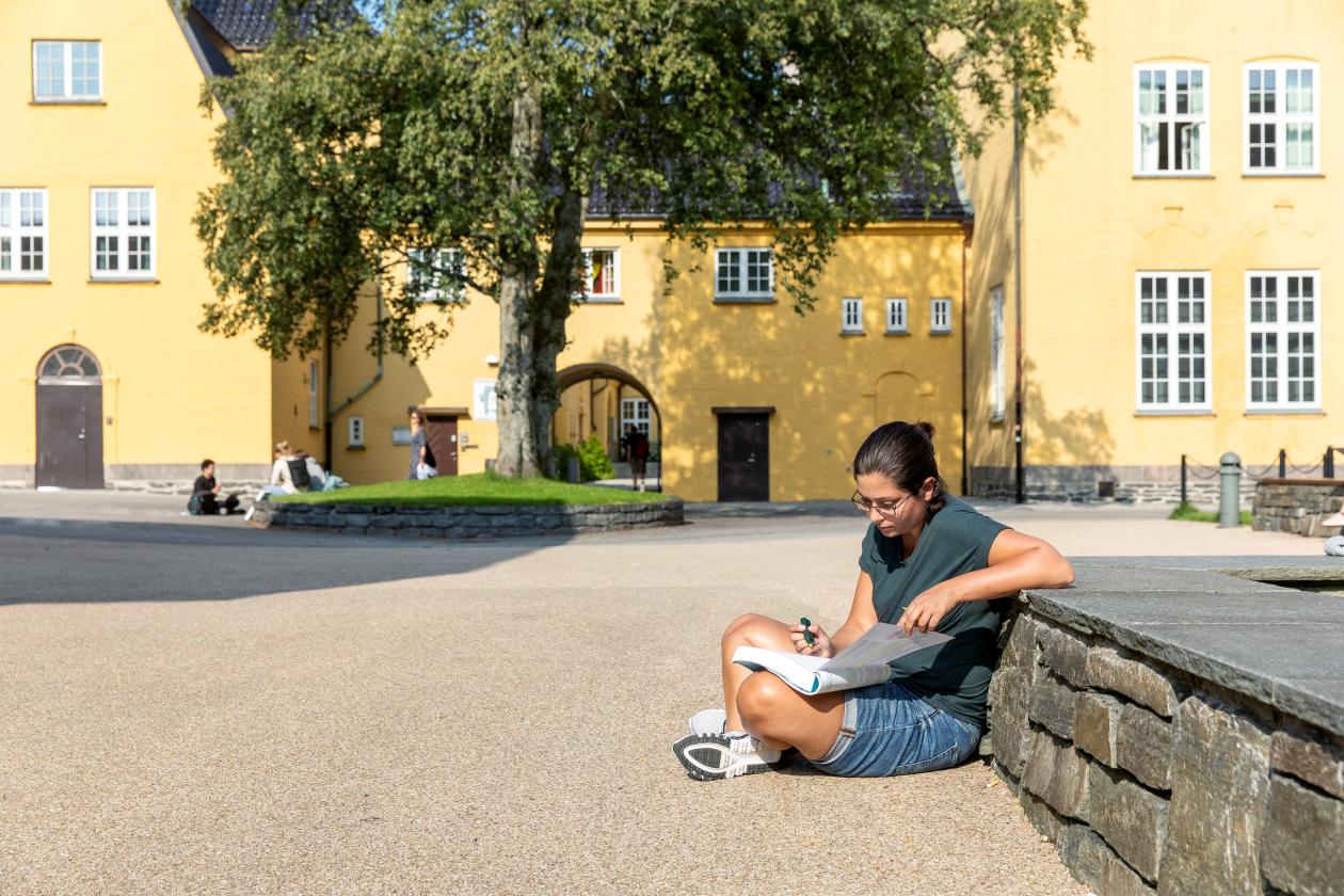 Student som sitter utenfor Sydneshaugen og leser