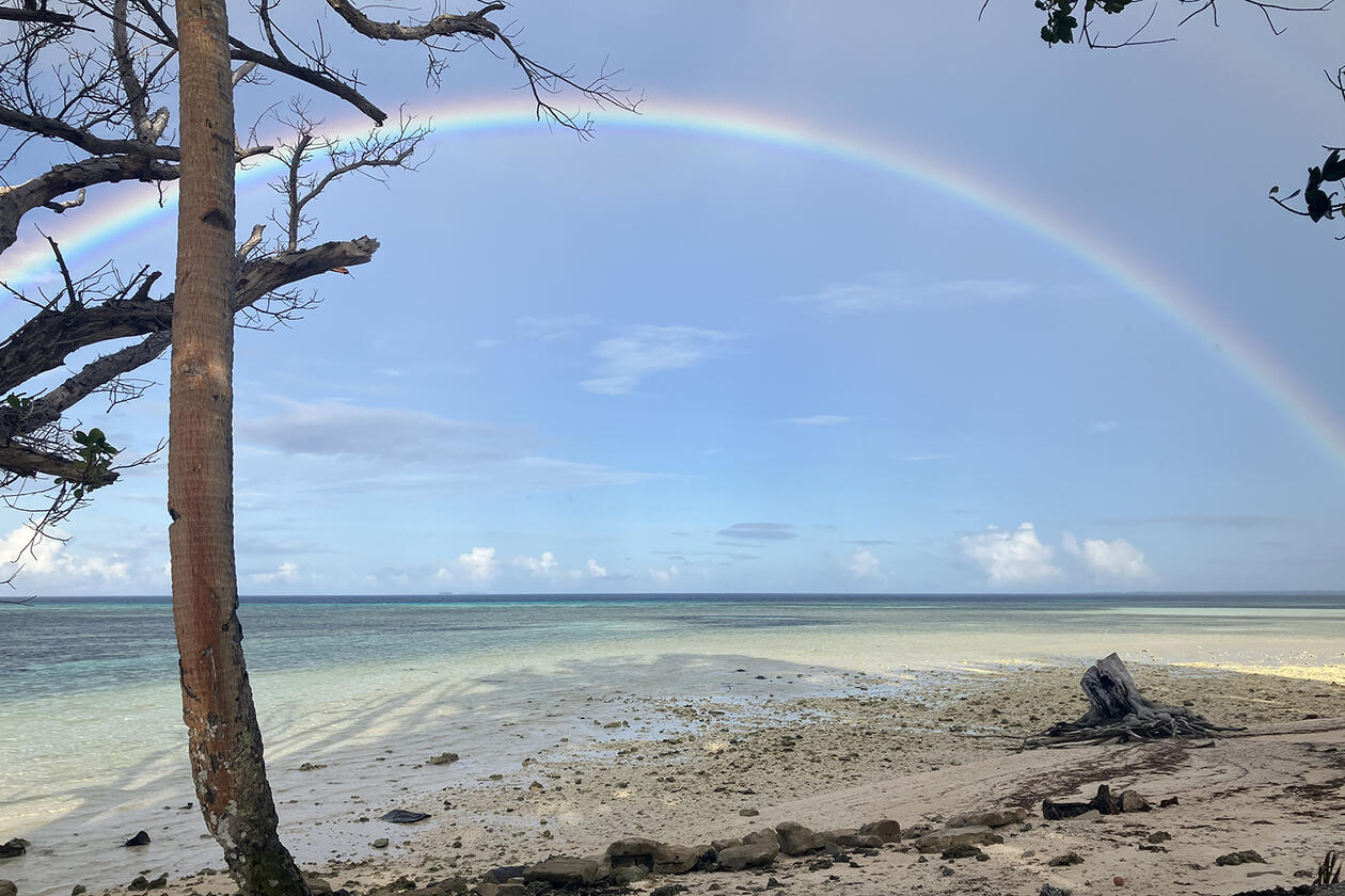 Rainbows in the pacific