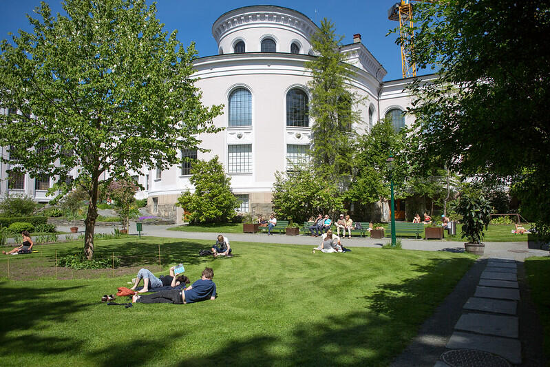 University of Bergen, University Museum