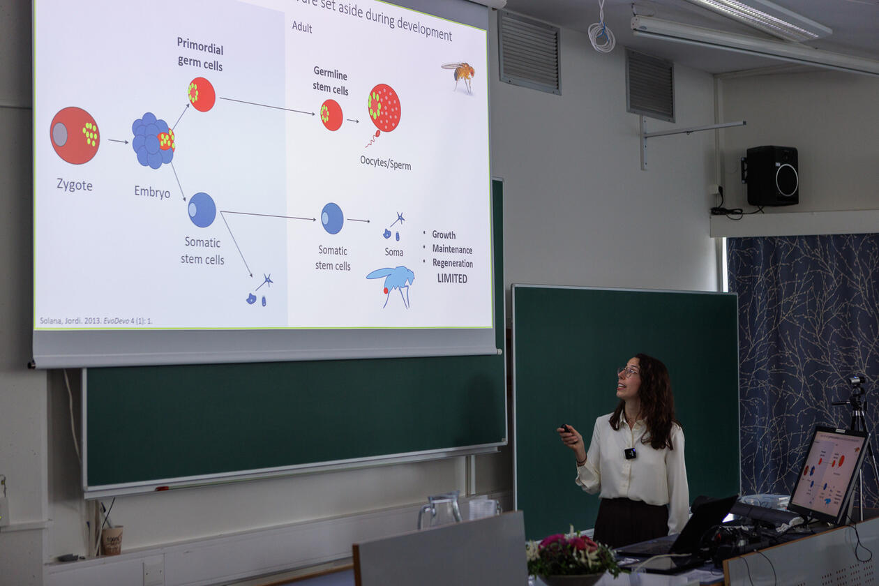 PhD Defense