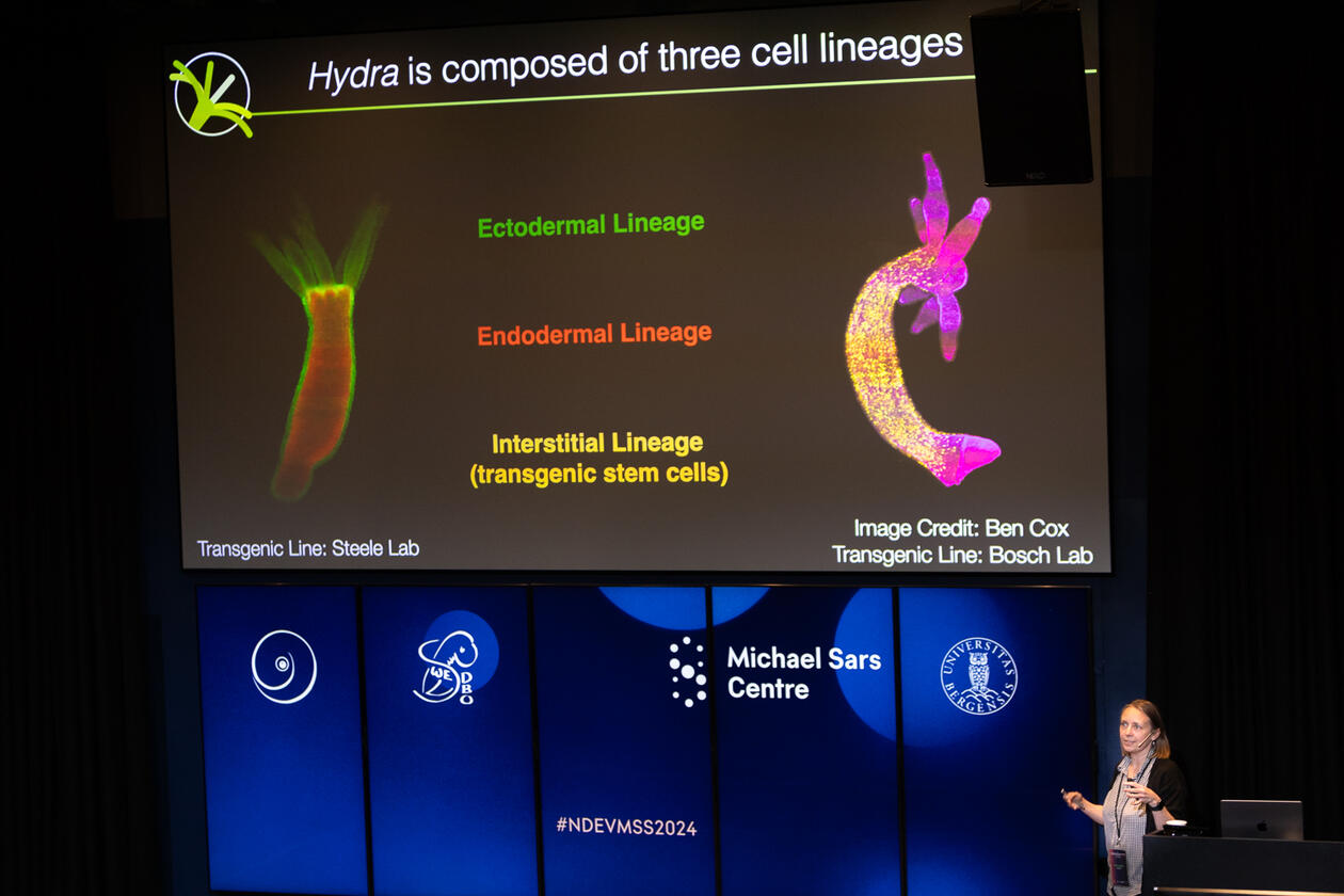 Nordic Developmental Biology Societies & Michael Sars Symposium Joint Meeting