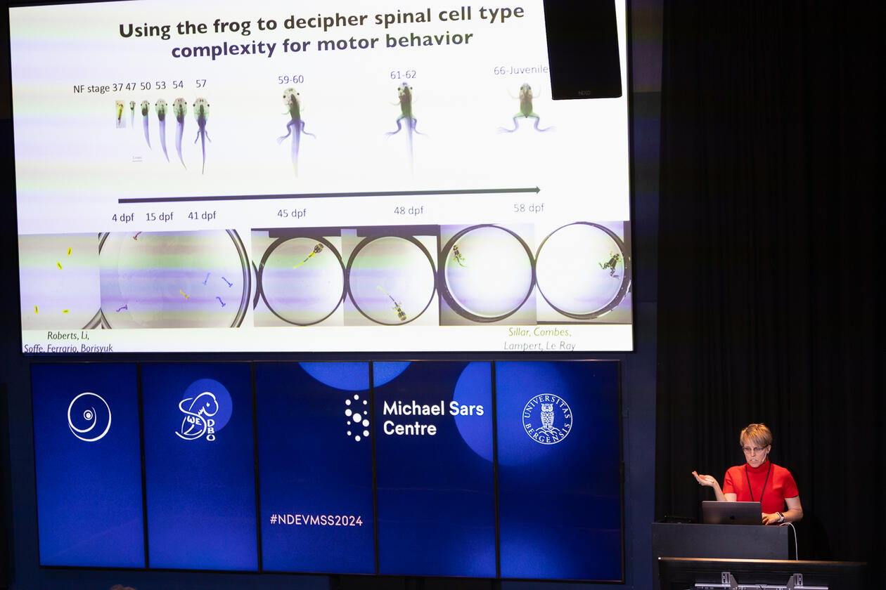 Nordic Developmental Biology Societies & Michael Sars Symposium Joint Meeting