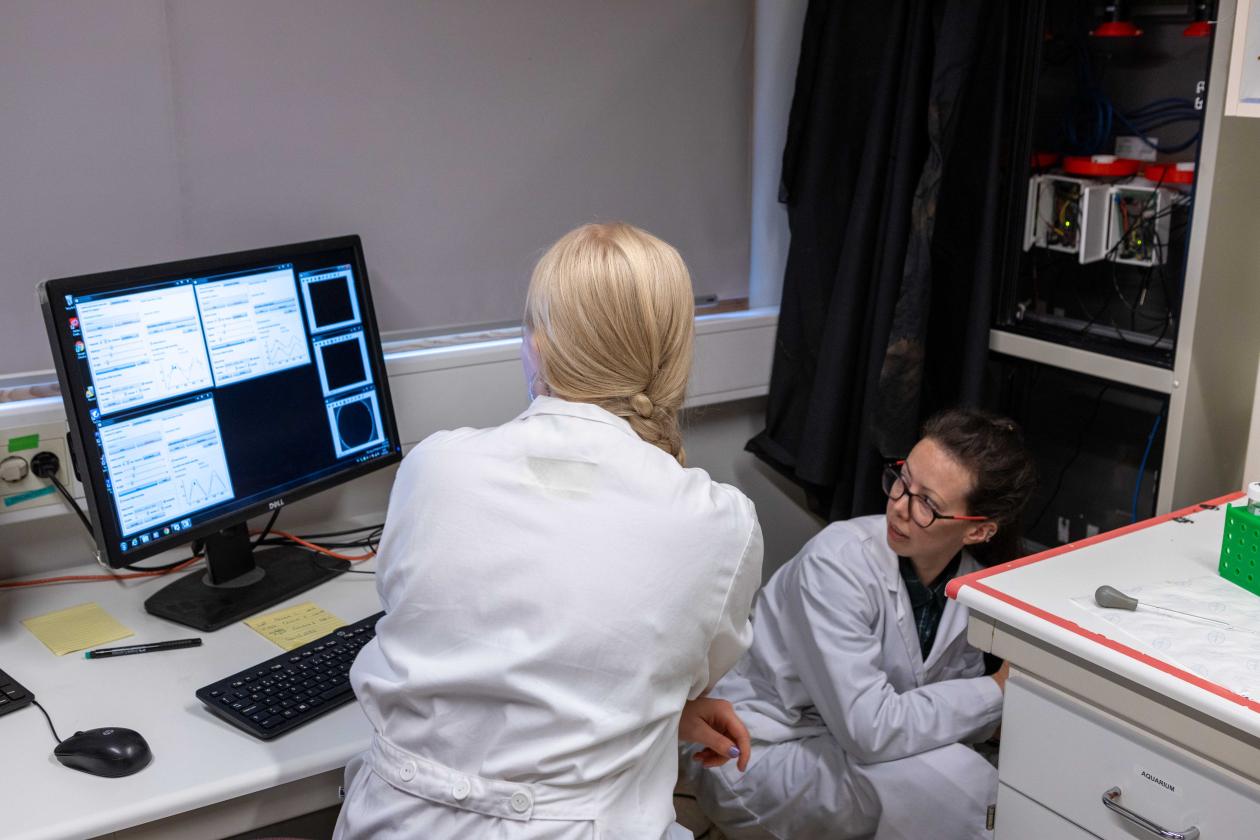 Students in the laboratory