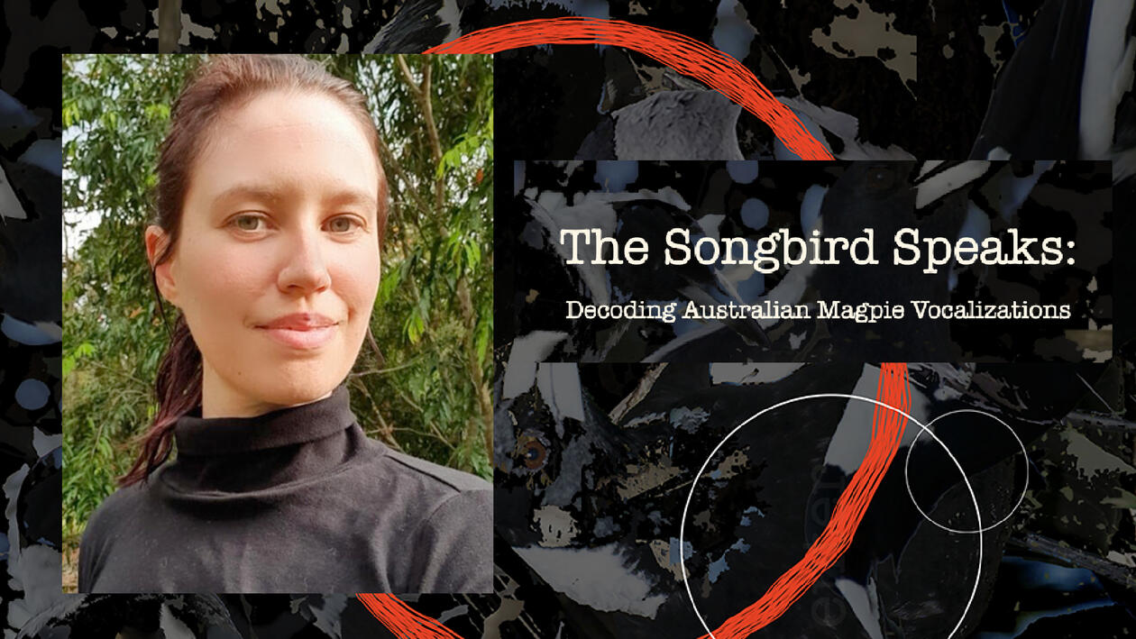 Alinta Krauth – text: "The Songbird Speaks. Decoding Magpie Vocalizations with AI"