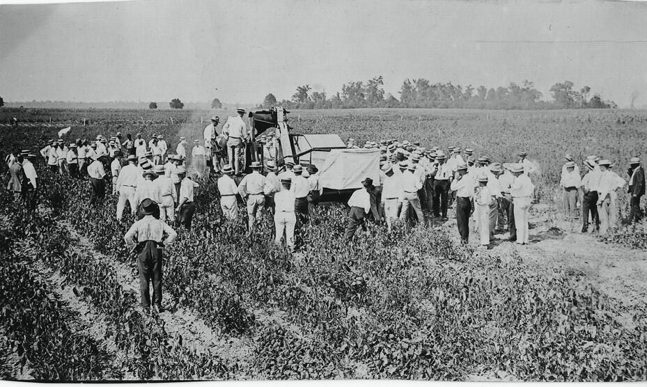 Soya, the last 100 years | The University Gardens | UiB