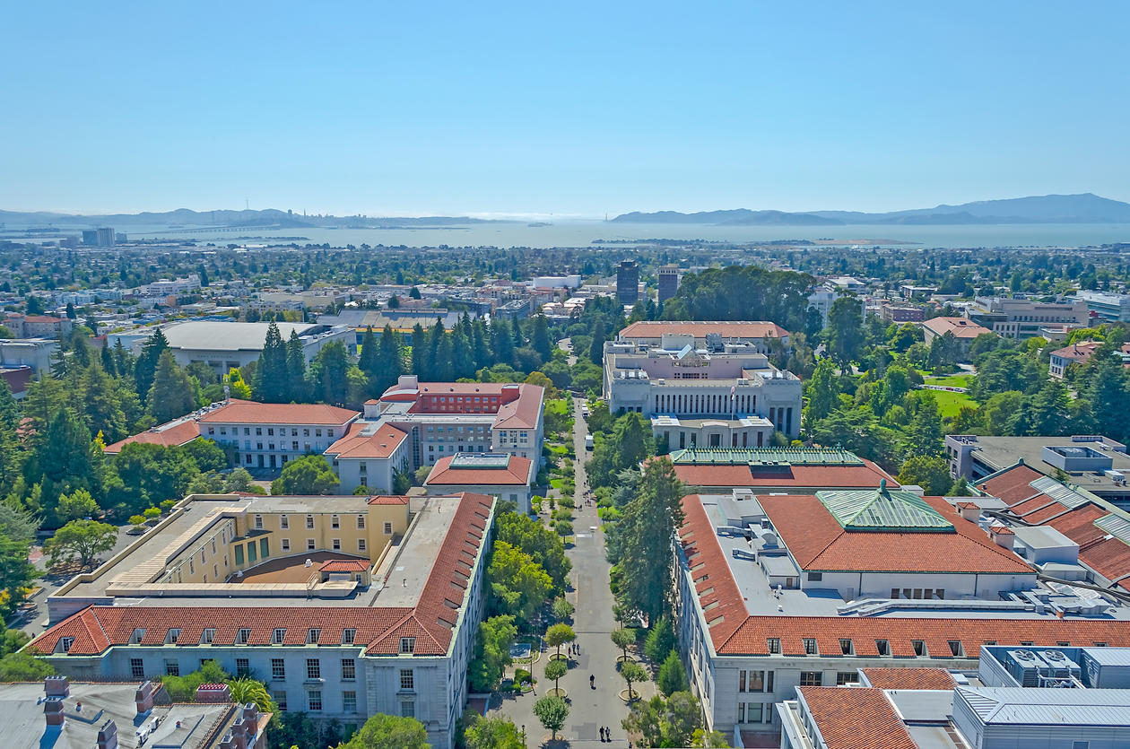 Halvparten Velger Berkeley | Sosiologisk Institutt | Universitetet I Bergen