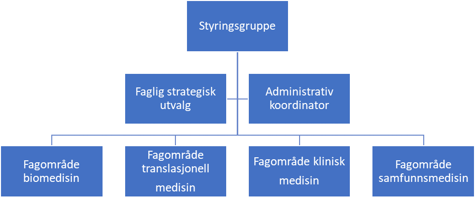 Bilde som viser strukturen til senteret, med styringsgruppe på topp, faglig strategisk utvalg og administrativ koordinator under, og under der igjen Fagområdene: biomedisin, translasjonell medisin, klinisk medisin og samfunnsmedisin