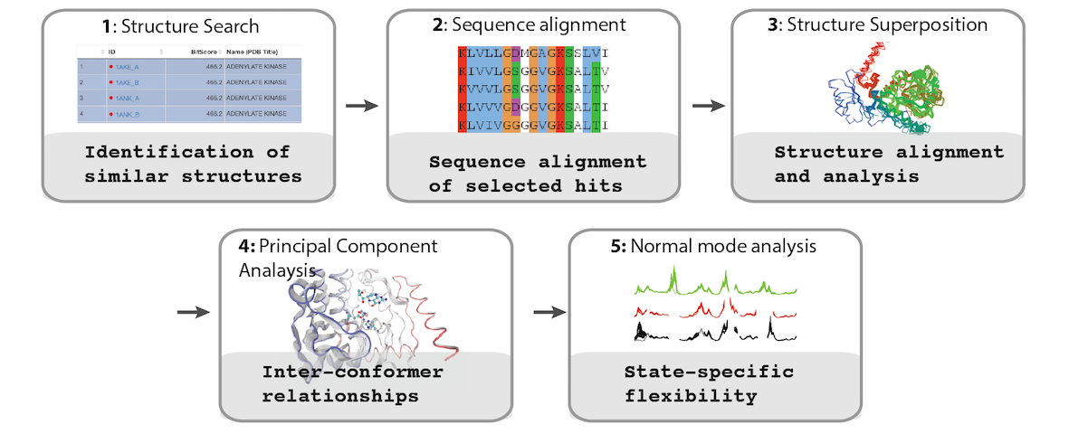 Bio3D-web: New Online Tools For Protein Structure Analysis | Martinez ...