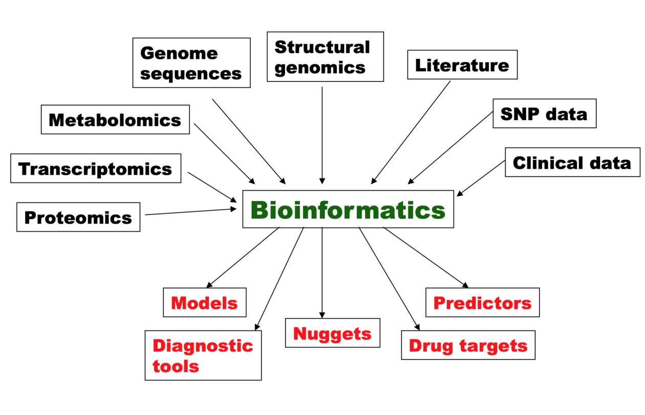 Bioinformatics | Center For Data Science | UiB