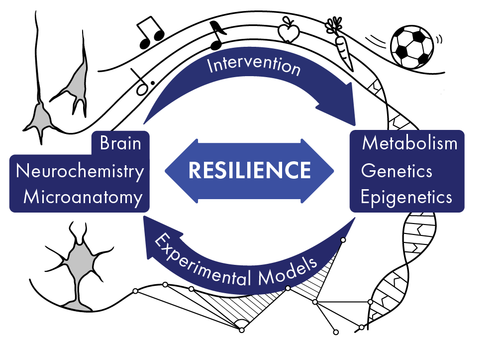 Center For Biomolecular Resilience (BIOMORE) | University Of Bergen