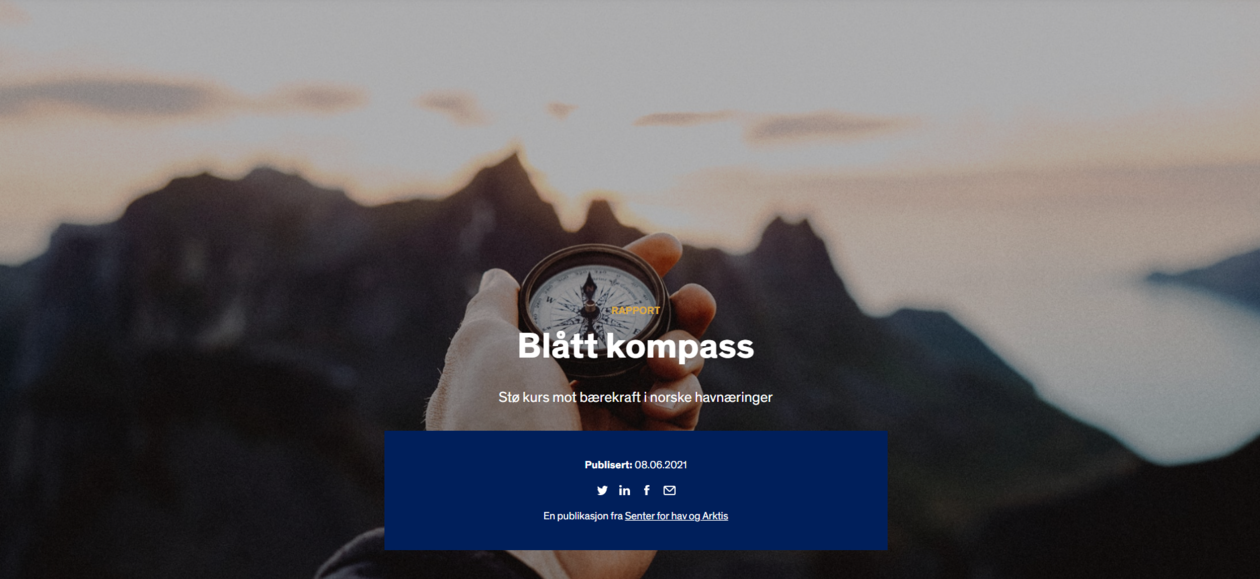 Blått kompass 