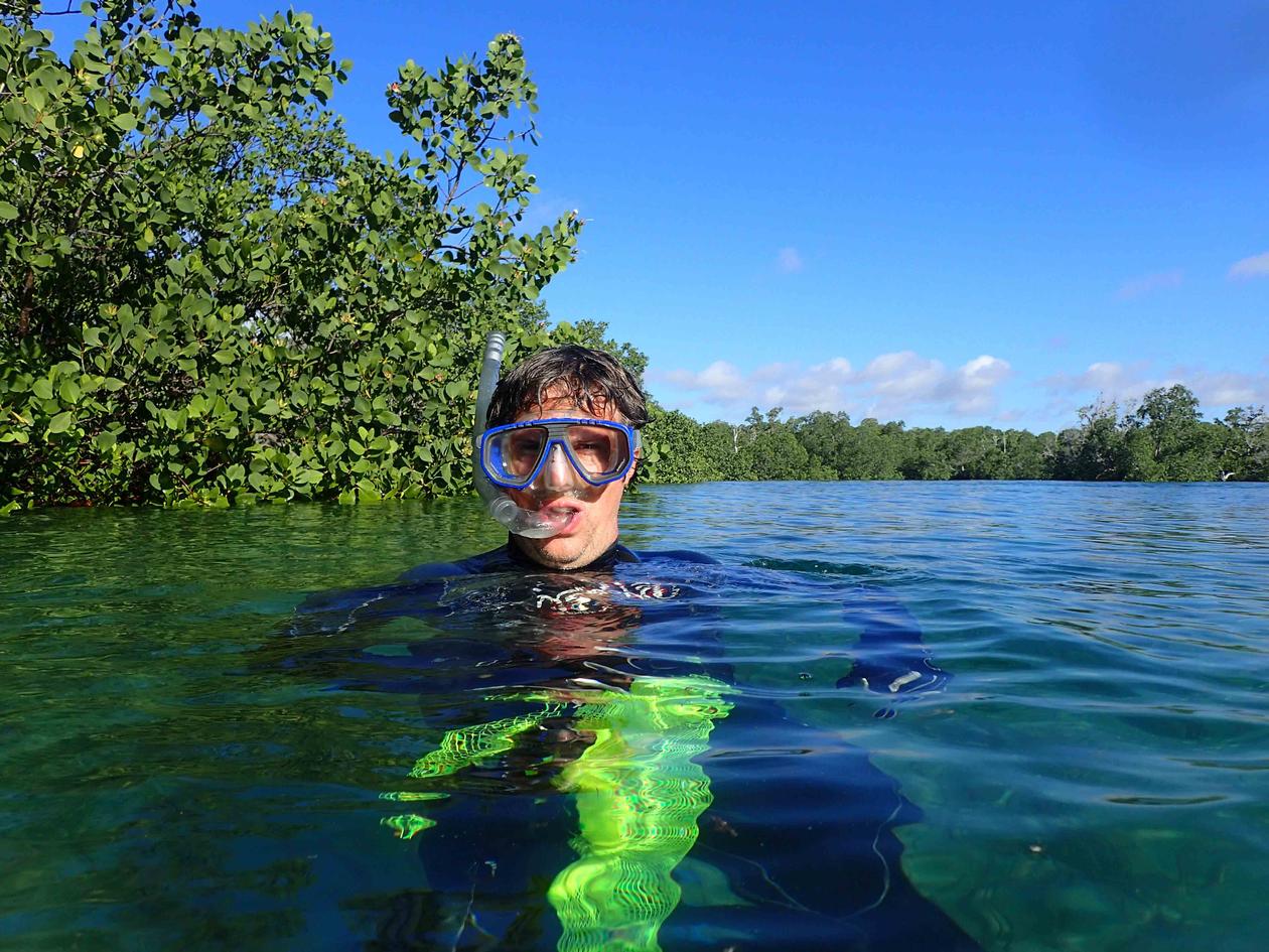 The author collecting in the mangroves