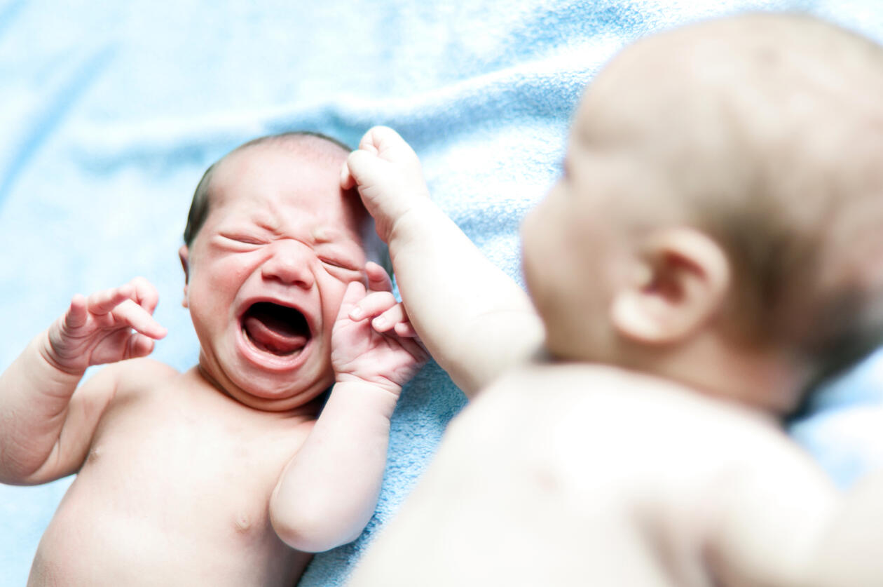 bilde av to babyer. En skriker, den andre tar den skrikende babyen på hodet. Den fremste babyen er ute av fokus, har ansiktet vendt mot den skrikende babyen. Ligger naken på blått teppe