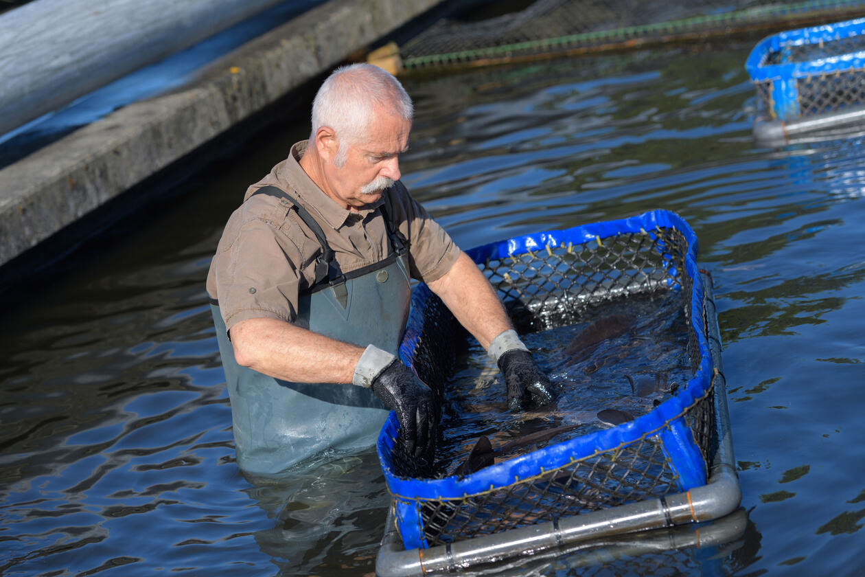 Fishfarmer