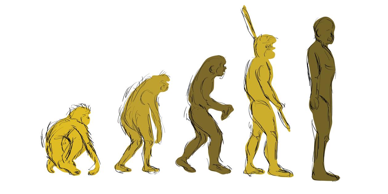 tegning av menneskets evolusjon