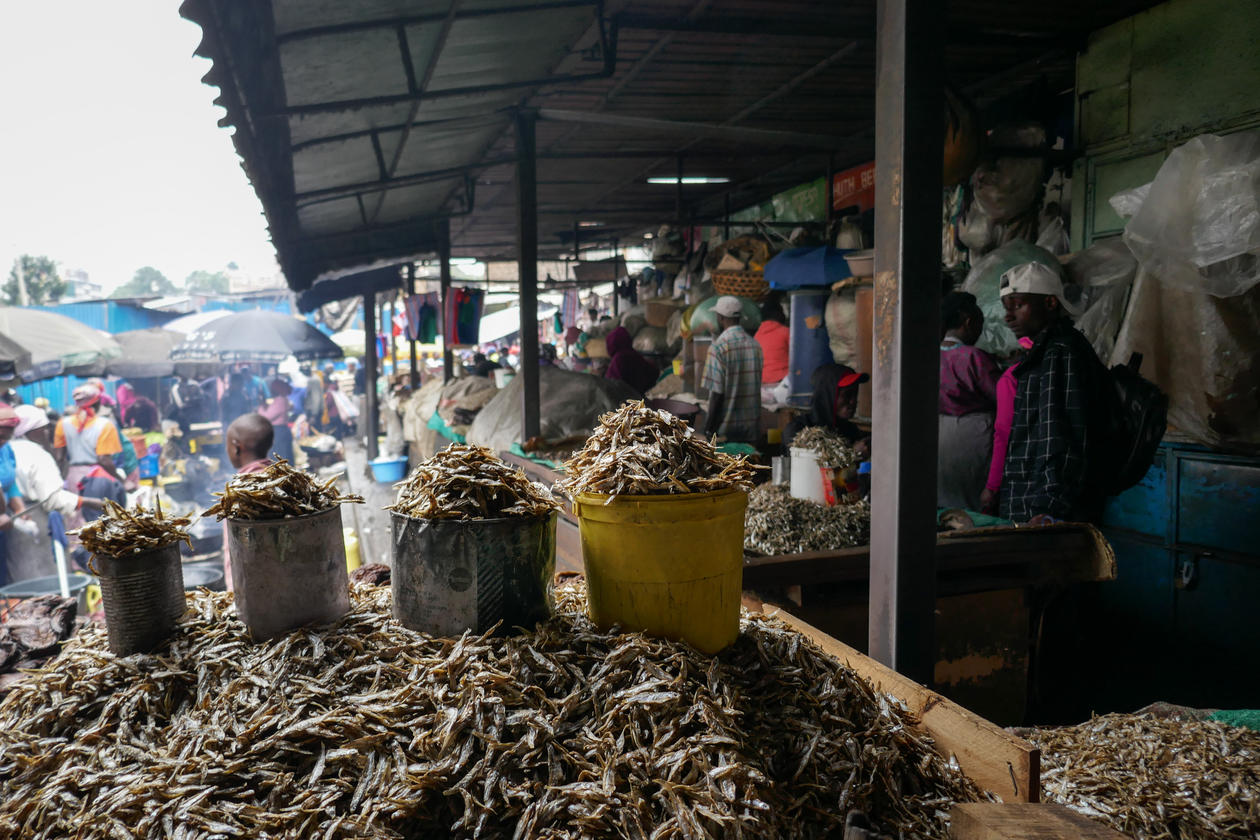 A fish market in Kenya.