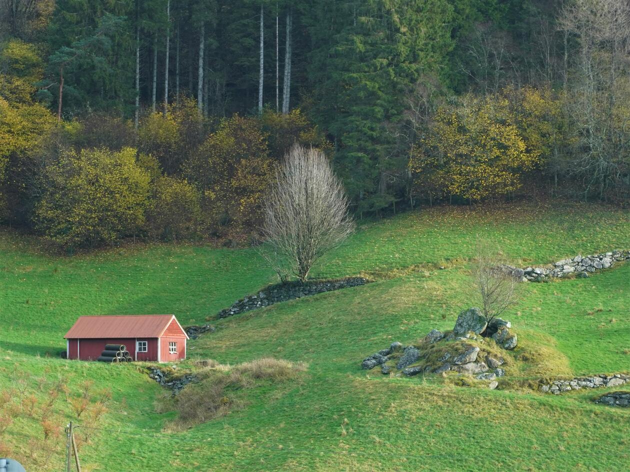 Grønn kulturmark i en skråning. Lite rødt hus i forgrunnen. Steingarder i bakken bak huset. Skog i bakgrunnen.