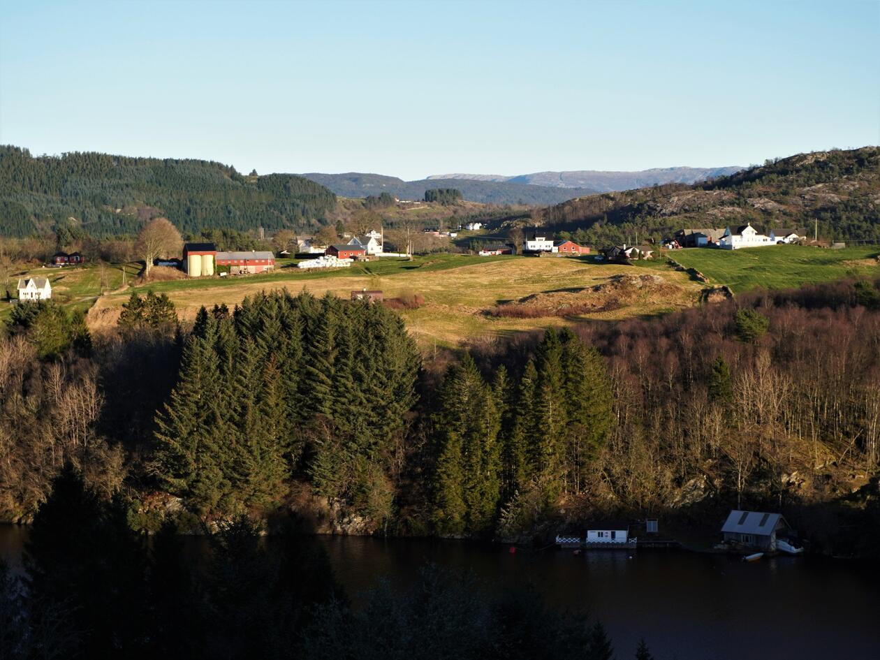 Utsiktsbilde over kulturmark med gårdsbygninger i bakgrunnen. Fjord og plantet granskog i forgrunnen.