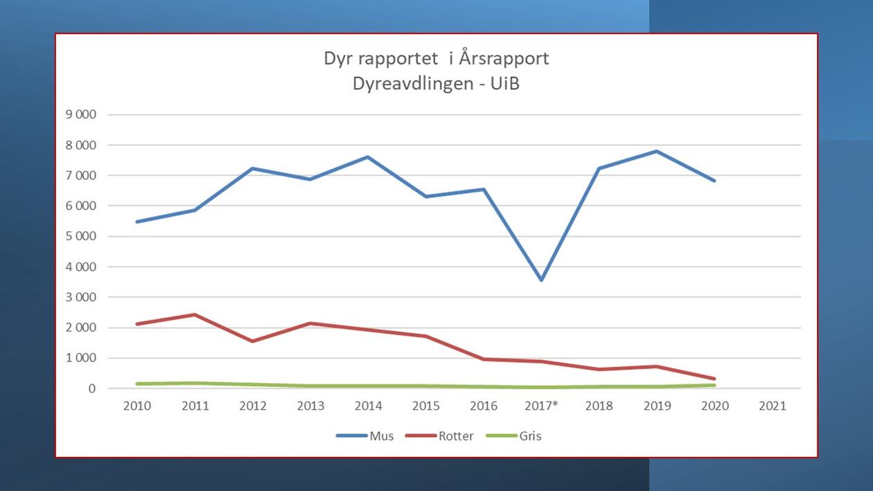 Dyr rapportert 2011-2020
