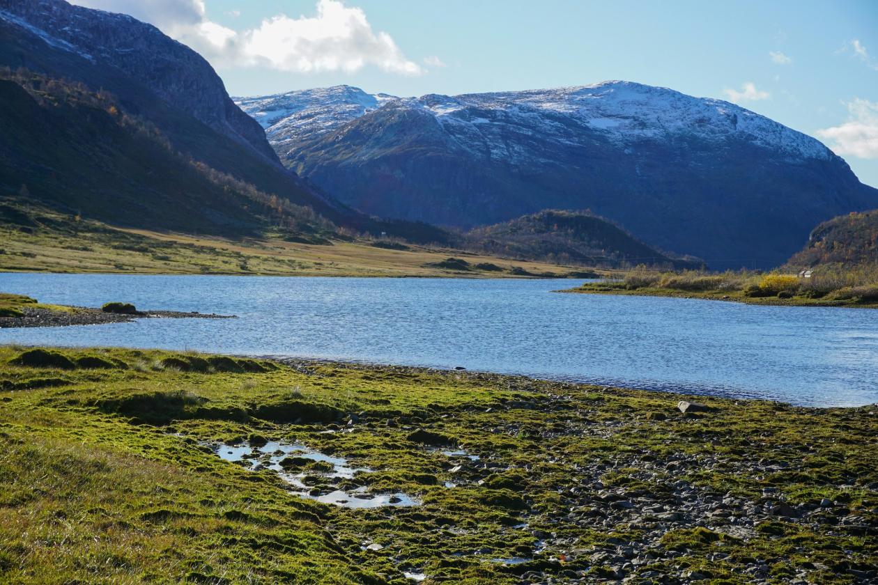 Norwegian nature in Voss