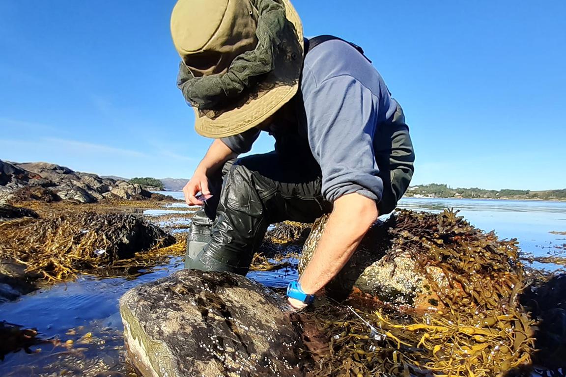 Juan sampling algae