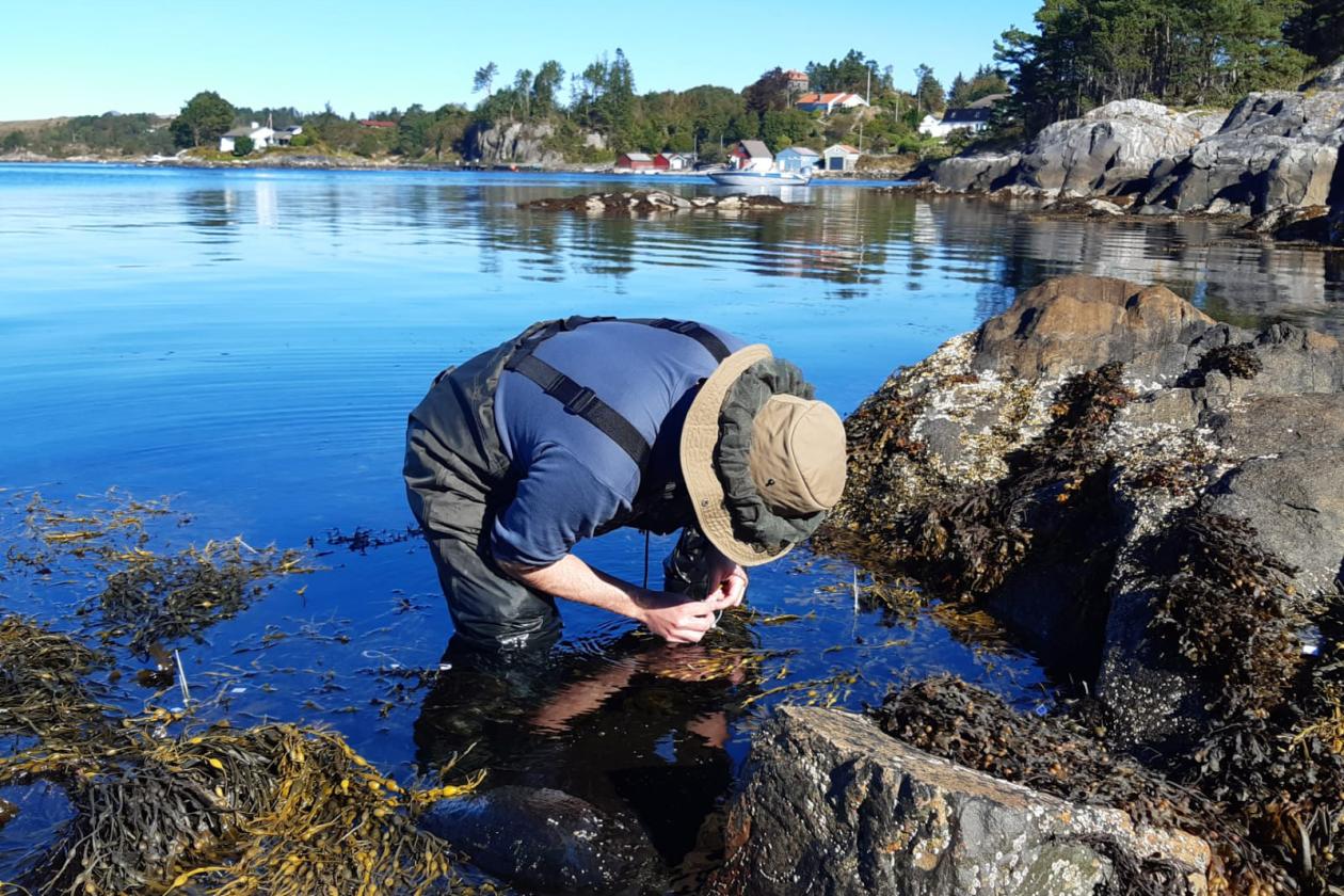 Juan measuring algae in the fjords