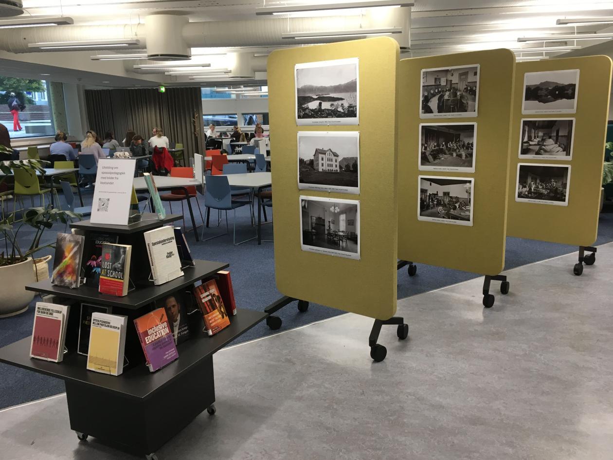 Utstillingen i biblioteket