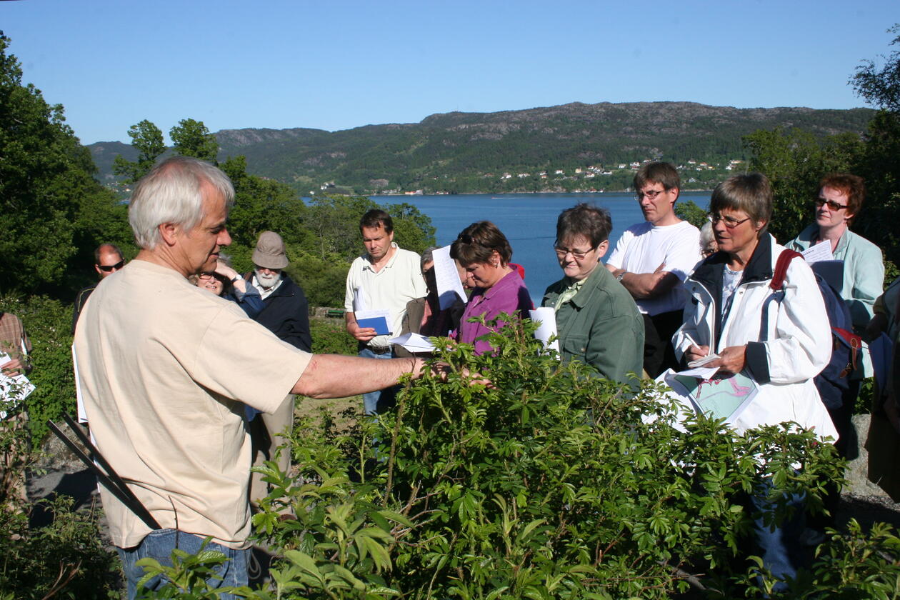 Omvisning blant villrosene