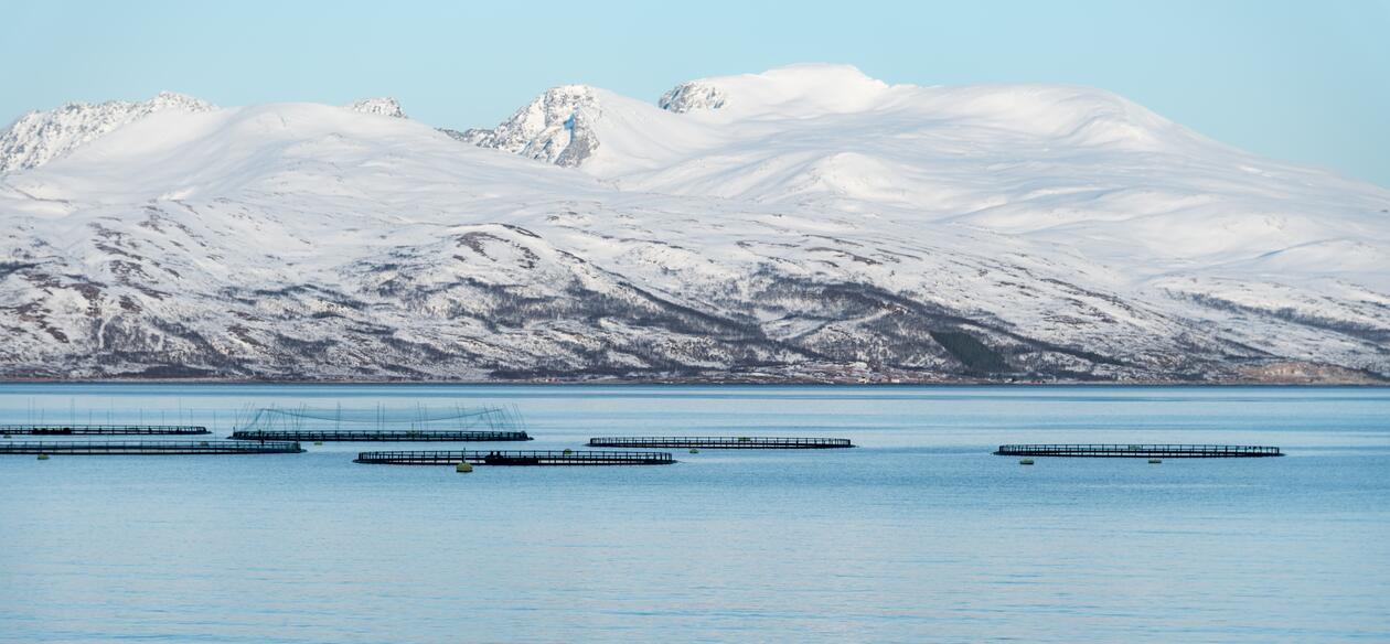 Fish farming aquaculture