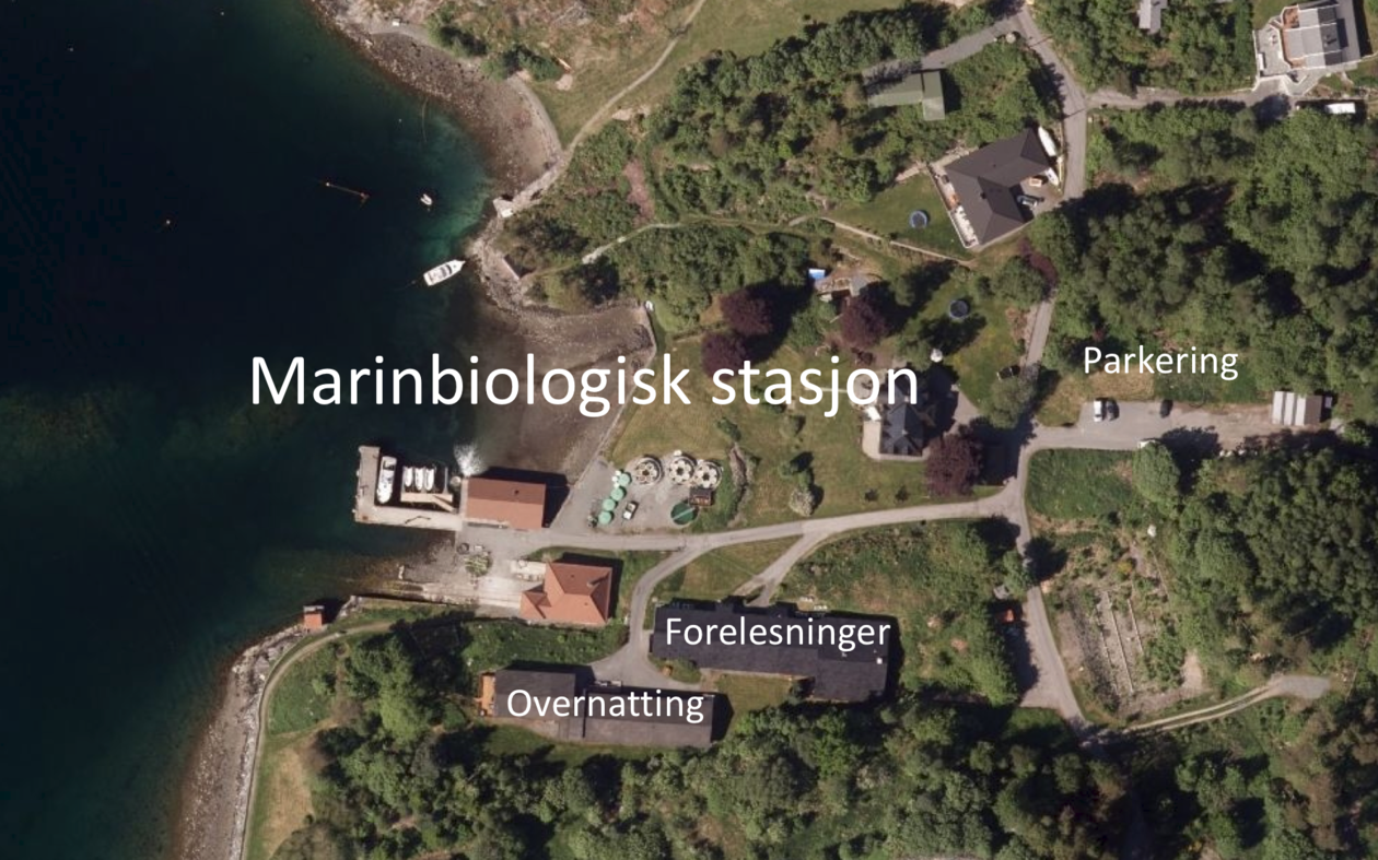 Marinbiologisk stasjon