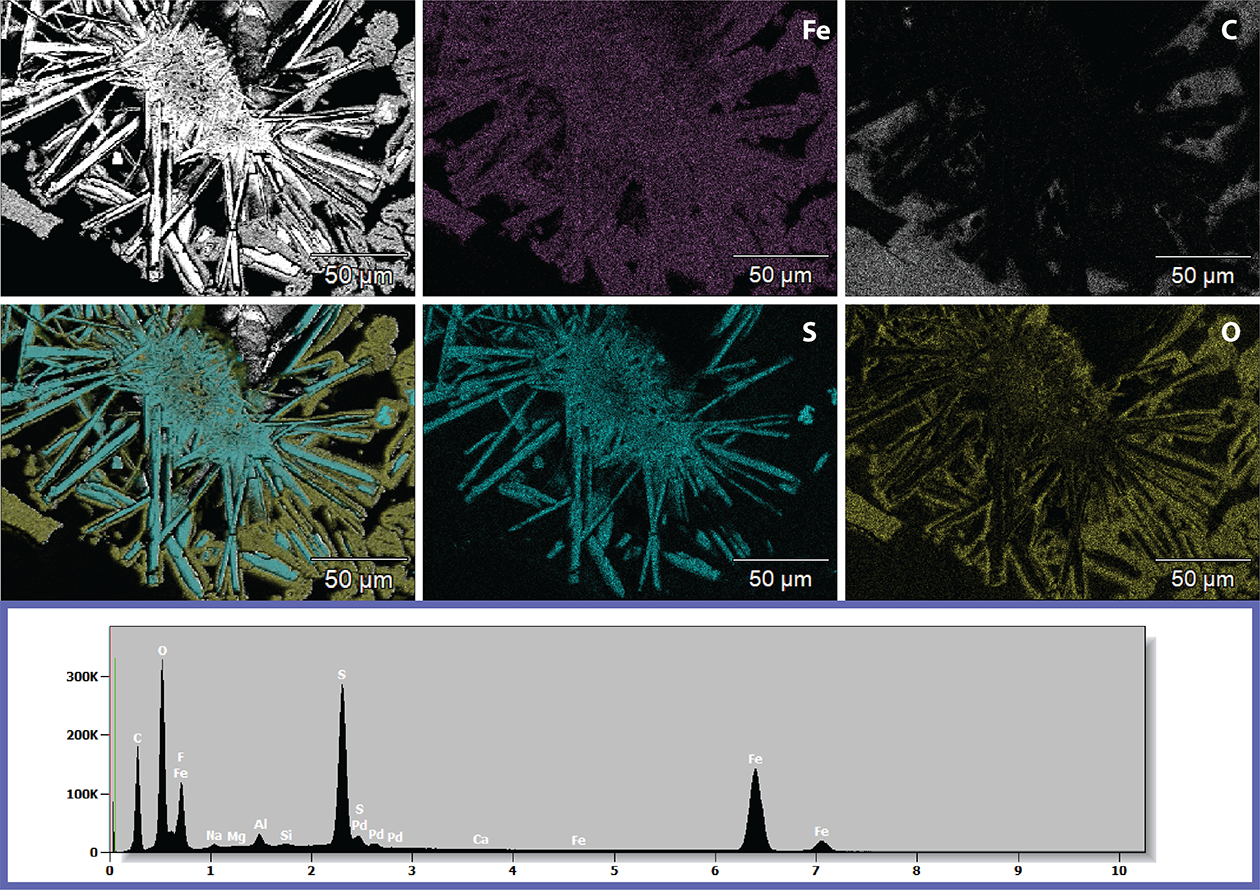 Element mapping & microanalysis