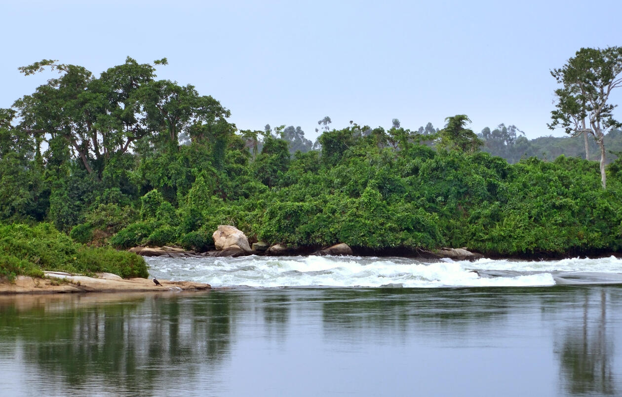 The river Nile