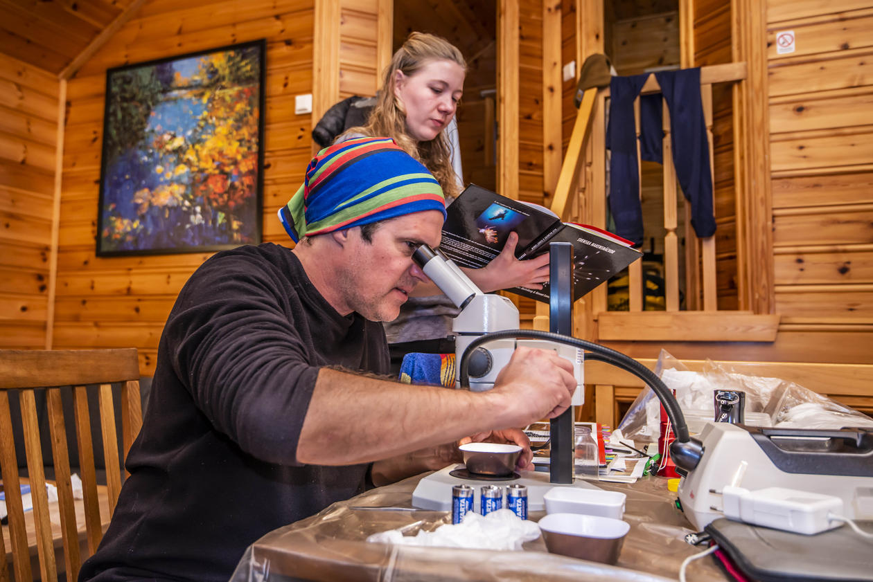 Manuel Malaquias and Jenny Neuhaus identifying sea slugs