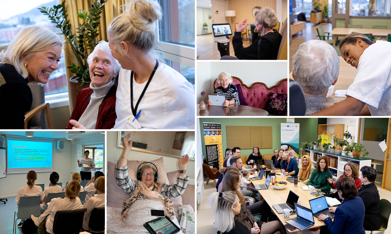 Collage of elderly people living in senior communities or at home, and SEFAS people in meetings and teaching.